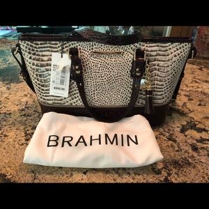 Brahmin purse